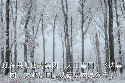 現(xiàn)在丹陽四大集團(tuán)，天工集團(tuán)、飛達(dá)集團(tuán)、大亞集團(tuán)、沃德集團(tuán)怎么樣了