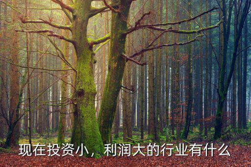 現(xiàn)在投資小，利潤大的行業(yè)有什么