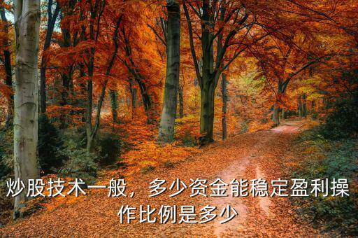 炒股技術一般，多少資金能穩(wěn)定盈利操作比例是多少