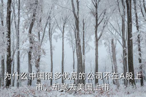 不盈利為什么能在美國上市,卻在美國上市。為什么