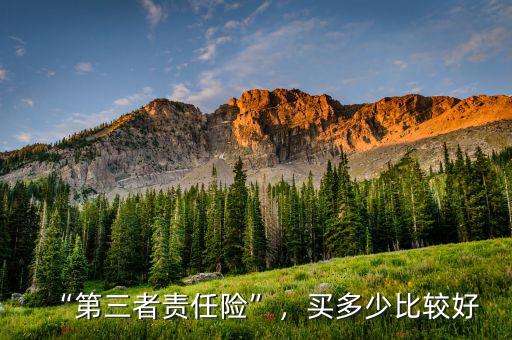 “第三者責(zé)任險(xiǎn)”，買(mǎi)多少比較好