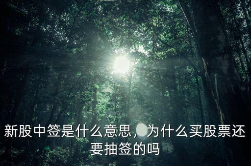 新股中簽是什么意思，為什么買股票還要抽簽的嗎