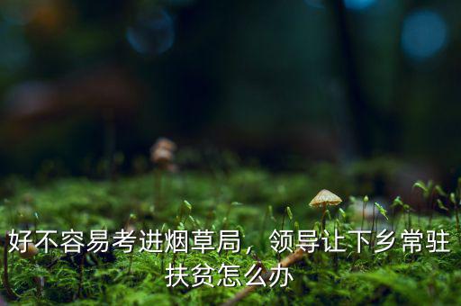 好不容易考進煙草局，領導讓下鄉(xiāng)常駐扶貧怎么辦