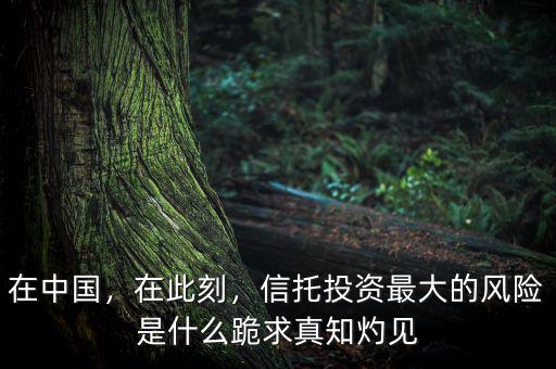 在中國，在此刻，信托投資最大的風(fēng)險(xiǎn)是什么跪求真知灼見