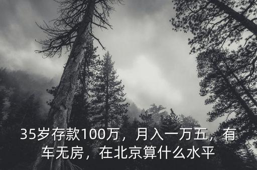 35歲存款100萬，月入一萬五，有車無房，在北京算什么水平