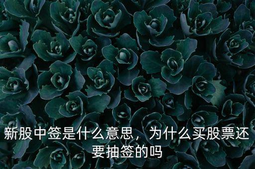 新股中簽是什么意思，為什么買股票還要抽簽的嗎