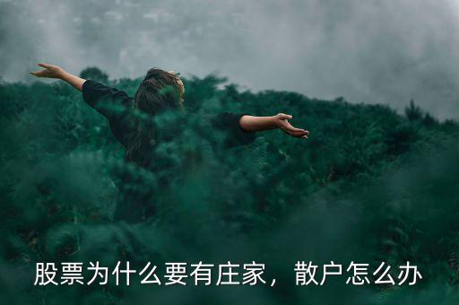股票為什么要有莊家，散戶怎么辦
