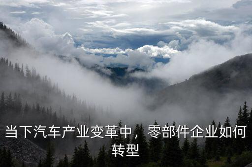 當(dāng)下汽車產(chǎn)業(yè)變革中，零部件企業(yè)如何轉(zhuǎn)型