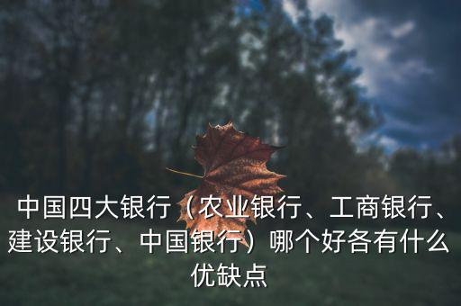中國四大銀行（農(nóng)業(yè)銀行、工商銀行、建設(shè)銀行、中國銀行）哪個好各有什么優(yōu)缺點
