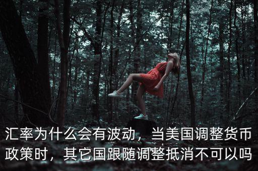 匯率為什么會有波動，當(dāng)美國調(diào)整貨幣政策時，其它國跟隨調(diào)整抵消不可以嗎