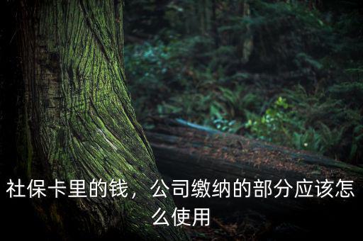 公司交的社保怎么用,社?？ɡ锏腻X