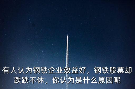有人認(rèn)為鋼鐵企業(yè)效益好，鋼鐵股票卻跌跌不休，你認(rèn)為是什么原因呢