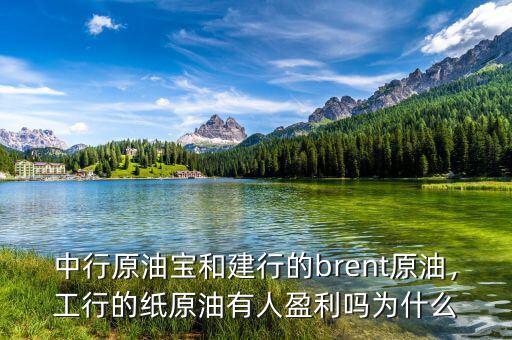 中行原油寶和建行的brent原油，工行的紙原油有人盈利嗎為什么