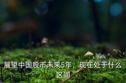 展望中國股市未來5年，現(xiàn)在處于什么區(qū)間