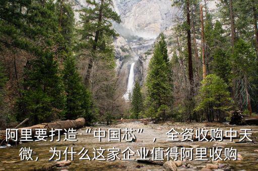 阿里要打造“中國(guó)芯”，全資收購(gòu)中天微，為什么這家企業(yè)值得阿里收購(gòu)