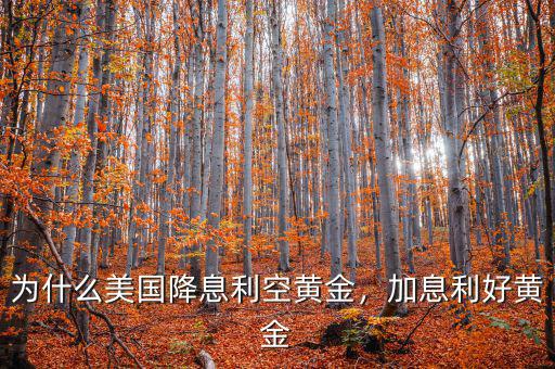 為什么美國降息利空黃金，加息利好黃金