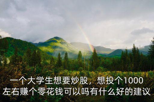 一個大學生想要炒股，想投個1000左右賺個零花錢可以嗎有什么好的建議