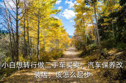 小白想轉(zhuǎn)行做二手車(chē)買(mǎi)賣(mài)，汽車(chē)保養(yǎng)改裝店，該怎么起步