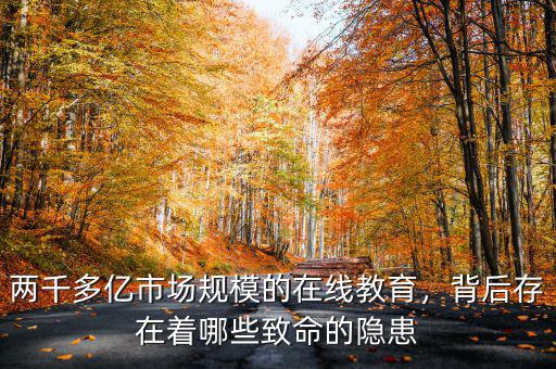 兩千多億市場規(guī)模的在線教育，背后存在著哪些致命的隱患