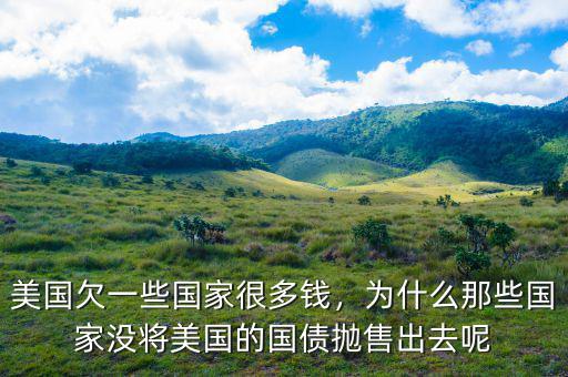 美國欠一些國家很多錢，為什么那些國家沒將美國的國債拋售出去呢