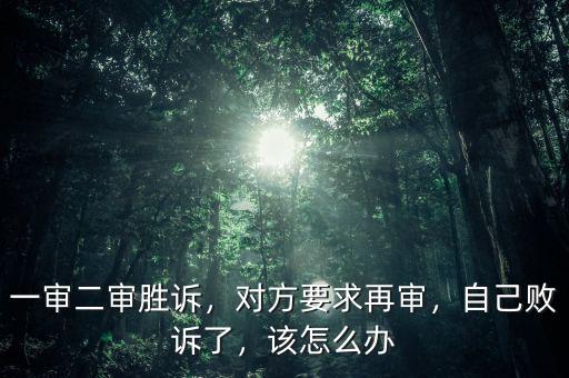 一審二審勝訴，對(duì)方要求再審，自己敗訴了，該怎么辦
