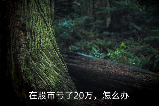 在股市虧了20萬(wàn)，怎么辦