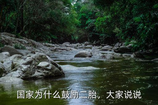 國家為什么鼓勵二胎，大家說說