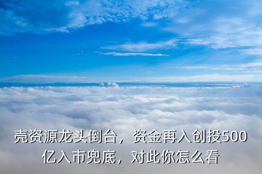 殼資源龍頭倒臺(tái)，資金再入創(chuàng)投500億入市兜底，對(duì)此你怎么看
