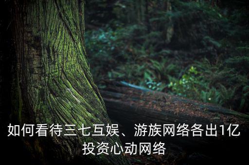如何看待三七互娛、游族網(wǎng)絡(luò)各出1億投資心動網(wǎng)絡(luò)