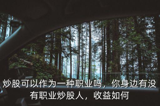 炒股可以作為一種職業(yè)嗎，你身邊有沒有職業(yè)炒股人，收益如何