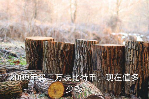 2009年買二萬塊比特幣，現(xiàn)在值多少錢