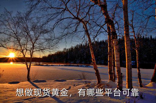 想做現(xiàn)貨黃金，有哪些平臺可靠