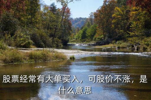 股票經(jīng)常有大單買入，可股價不漲，是什么意思