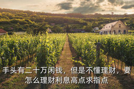 手頭有二十萬閑錢，但是不懂理財(cái)，要怎么理財(cái)利息高點(diǎn)求指點(diǎn)