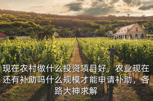 現(xiàn)在農(nóng)村做什么投資項目好，農(nóng)業(yè)現(xiàn)在還有補助嗎什么規(guī)模才能申請補助，各路大神求解