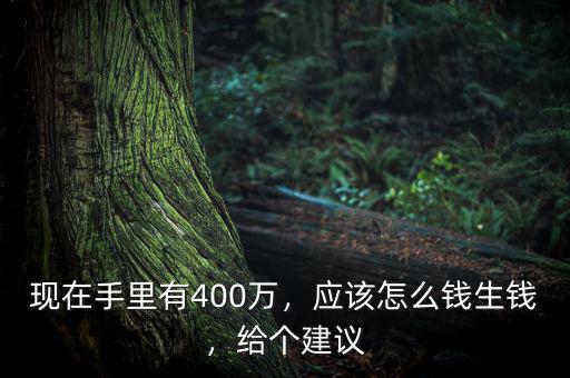 現(xiàn)在手里有400萬，應(yīng)該怎么錢生錢，給個(gè)建議