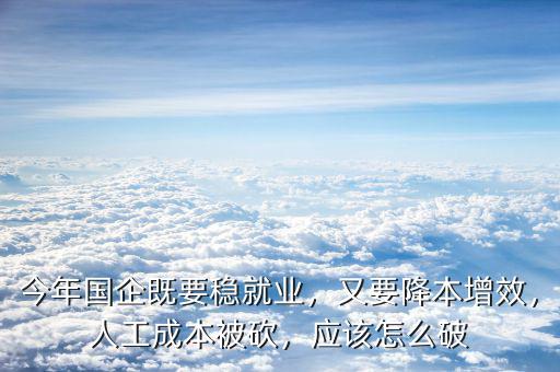 今年國(guó)企既要穩(wěn)就業(yè)，又要降本增效，人工成本被砍，應(yīng)該怎么破