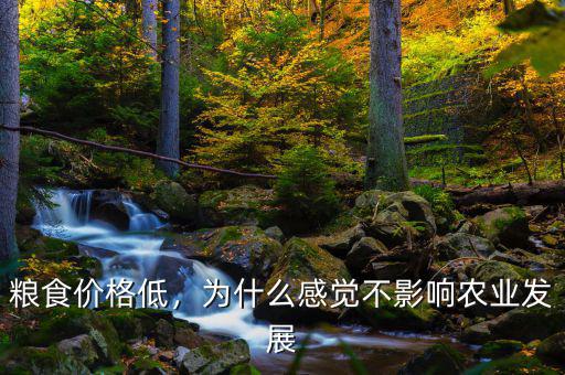 糧食價(jià)格低，為什么感覺不影響農(nóng)業(yè)發(fā)展