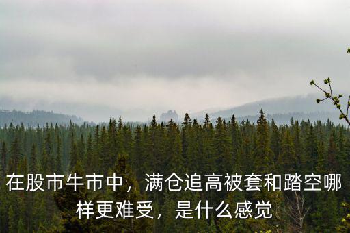 在股市牛市中，滿倉追高被套和踏空哪樣更難受，是什么感覺