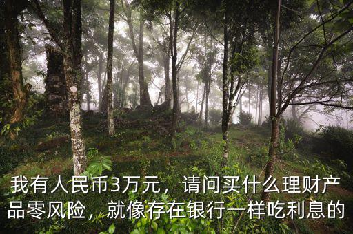 我有人民幣3萬元，請(qǐng)問買什么理財(cái)產(chǎn)品零風(fēng)險(xiǎn)，就像存在銀行一樣吃利息的