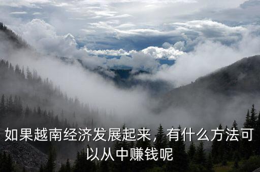 如果越南經(jīng)濟(jì)發(fā)展起來，有什么方法可以從中賺錢呢