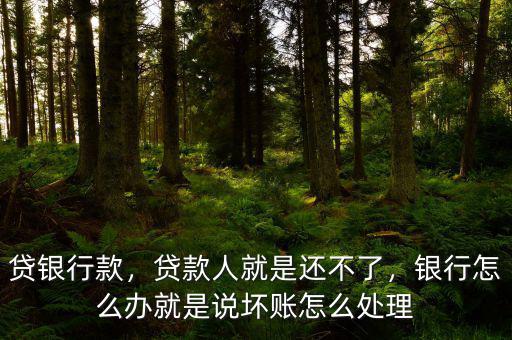 貸銀行款，貸款人就是還不了，銀行怎么辦就是說(shuō)壞賬怎么處理