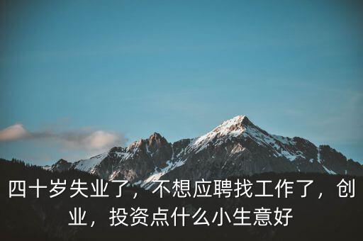 四十歲失業(yè)了，不想應(yīng)聘找工作了，創(chuàng)業(yè)，投資點(diǎn)什么小生意好