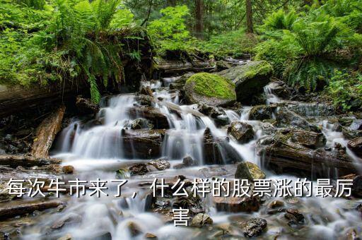每次牛市來(lái)了，什么樣的股票漲的最厲害