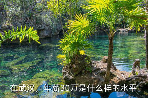 在武漢，年薪30萬是什么樣的水平