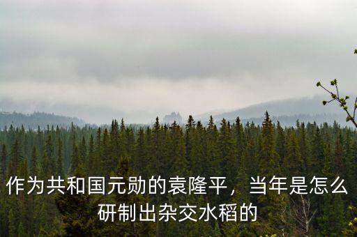 作為共和國元勛的袁隆平，當(dāng)年是怎么研制出雜交水稻的