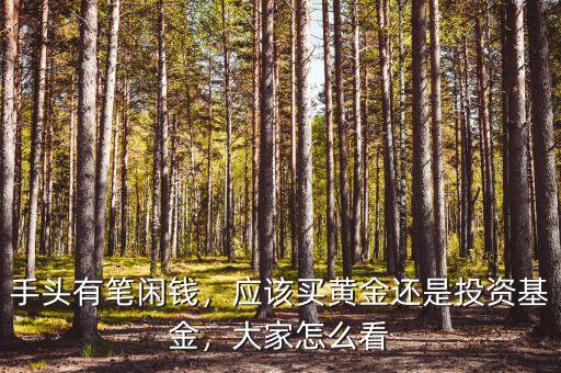手頭有筆閑錢，應(yīng)該買黃金還是投資基金，大家怎么看