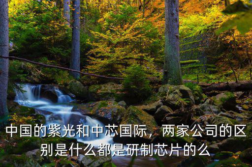 中國(guó)的紫光和中芯國(guó)際，兩家公司的區(qū)別是什么都是研制芯片的么