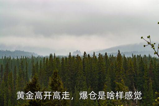 黃金高開高走，爆倉是啥樣感覺