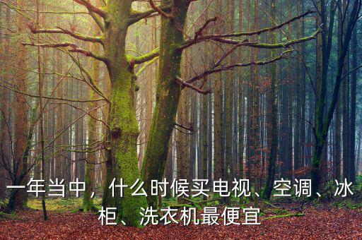 一年當(dāng)中，什么時候買電視、空調(diào)、冰柜、洗衣機最便宜